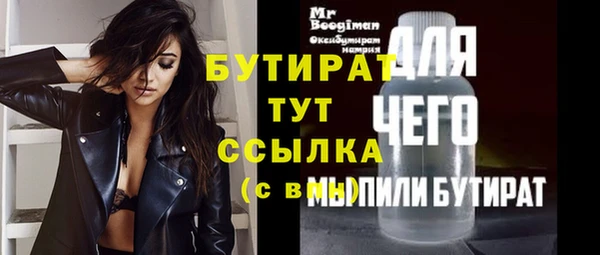 прущие грибы Великий Новгород