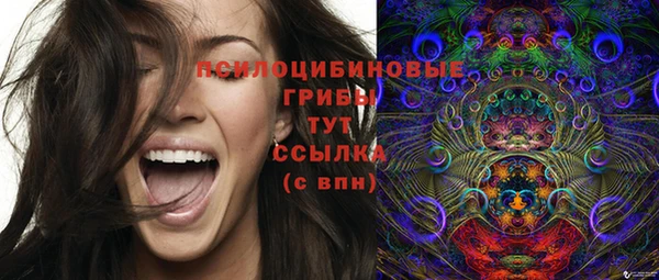 мдпв Вязьма