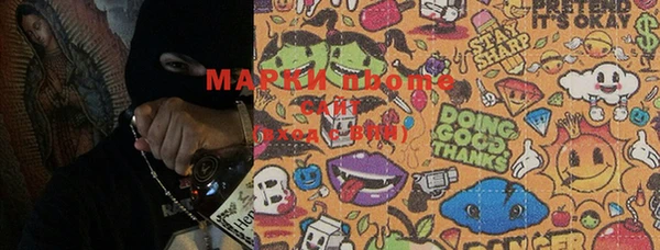 прущие грибы Великий Новгород