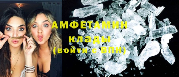 прущие грибы Великий Новгород