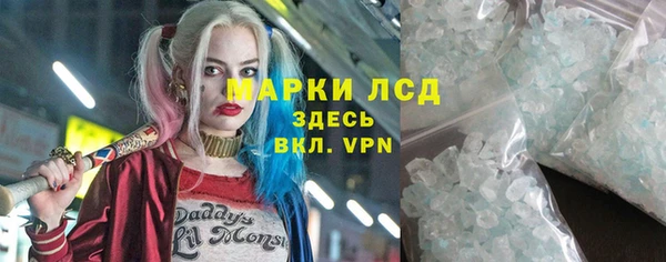 прущие грибы Великий Новгород